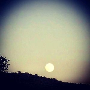 Meet your Posher, Berenice